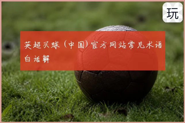 英超买球 (中国)官方网站常见术语白话解