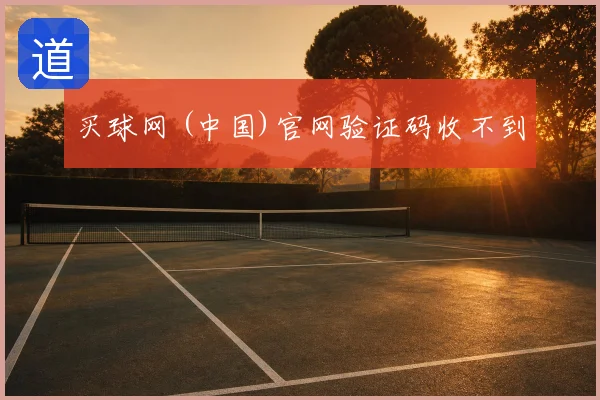 买球网 (中国)官网验证码收不到